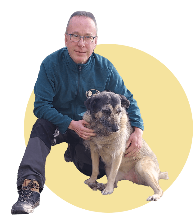 Convivencia con tu perro